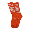 Saint Michael Logo Print Socks（写真2）