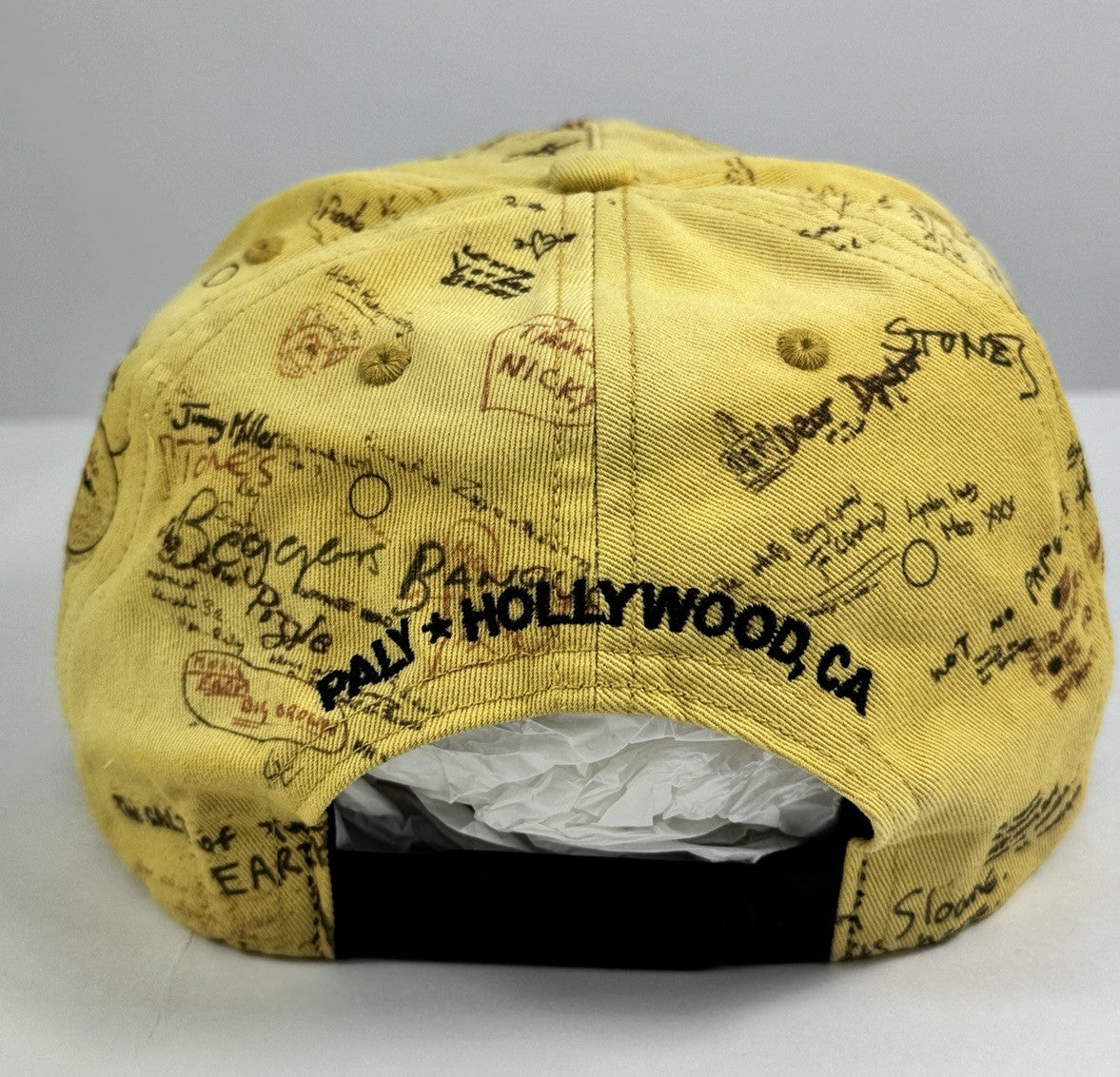 Paly Hollywood Stones Beggars Banquet Cap, photo 7