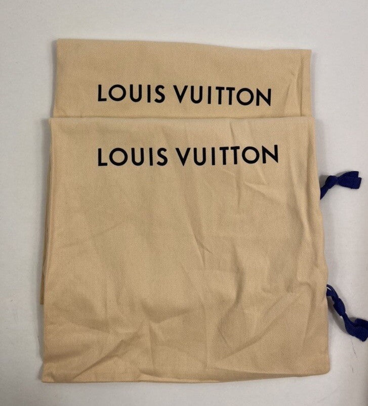 Louis Vuitton Lucien Clark A View Trainers, photo 14