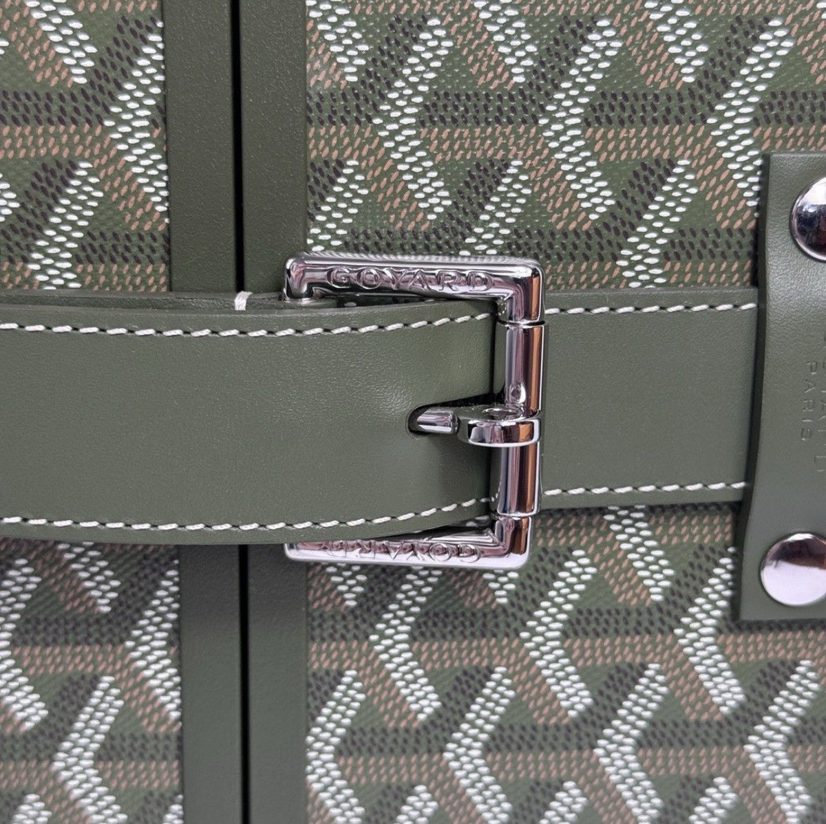 Goyard Limited Edition Hand Painted Numbered Bourget PM Cabin Trolley Suitcase, photo 12