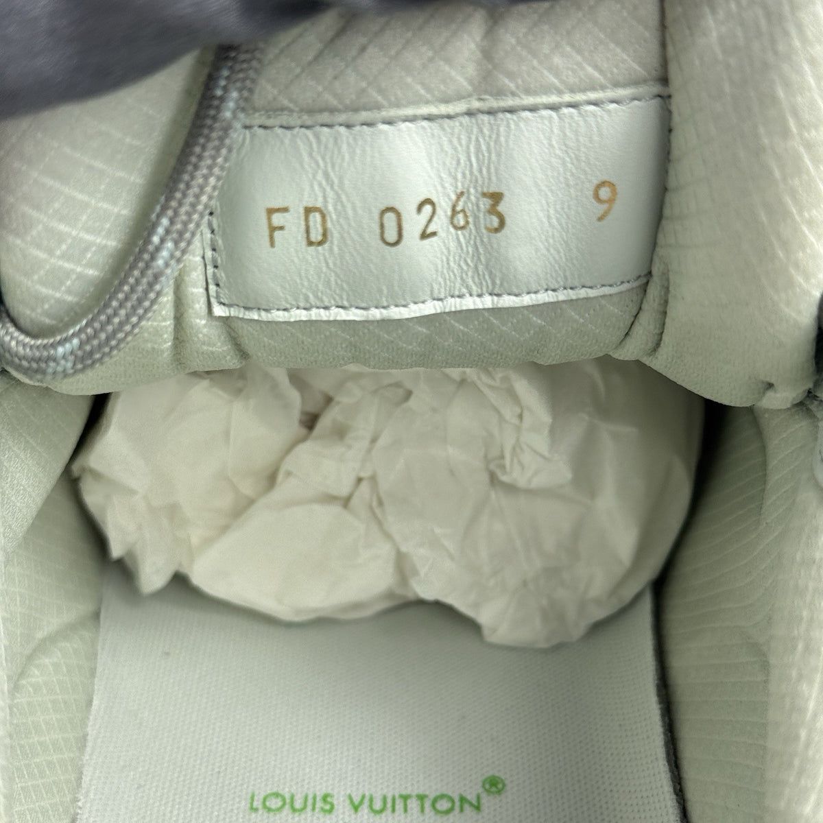 Louis Vuitton x KidSuper Studios Discovery Trainers, photo 11