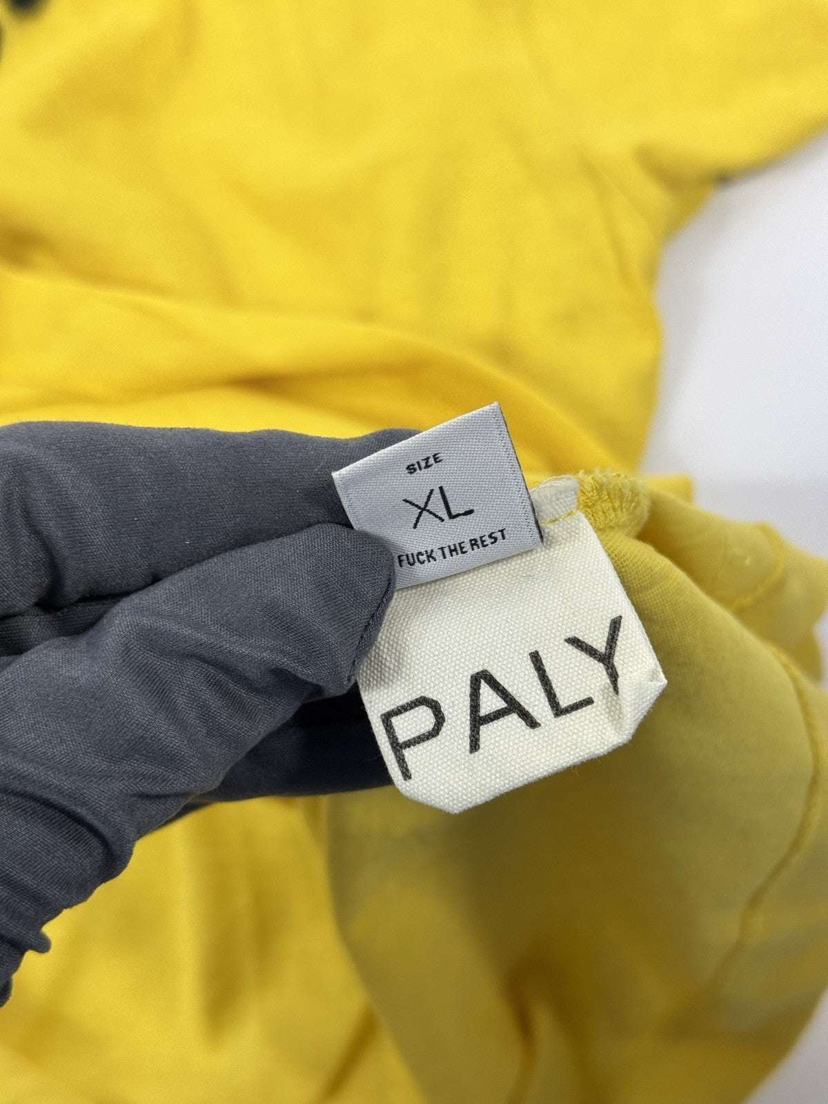 Paly Hollywood Ez Riders Ringer Oversized T-Shirt, photo 9