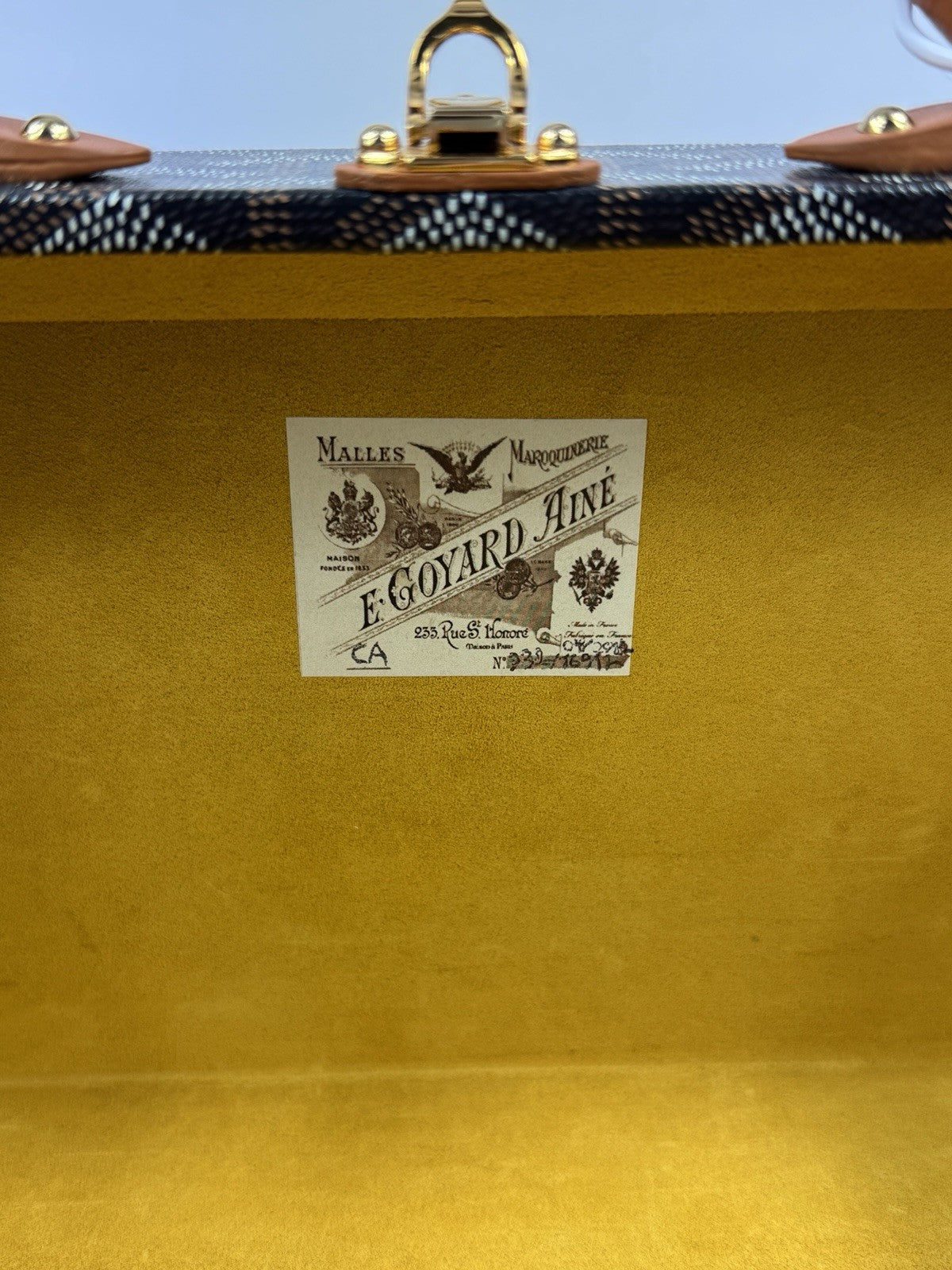 Goyard Grand Hotel Trunk Bag, photo 14