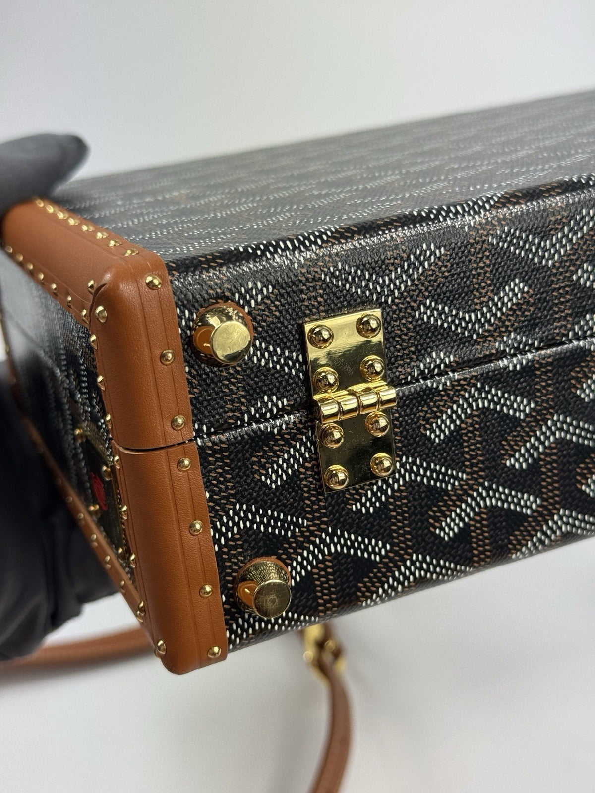 Goyard Grand Hotel Trunk Bag, photo 8