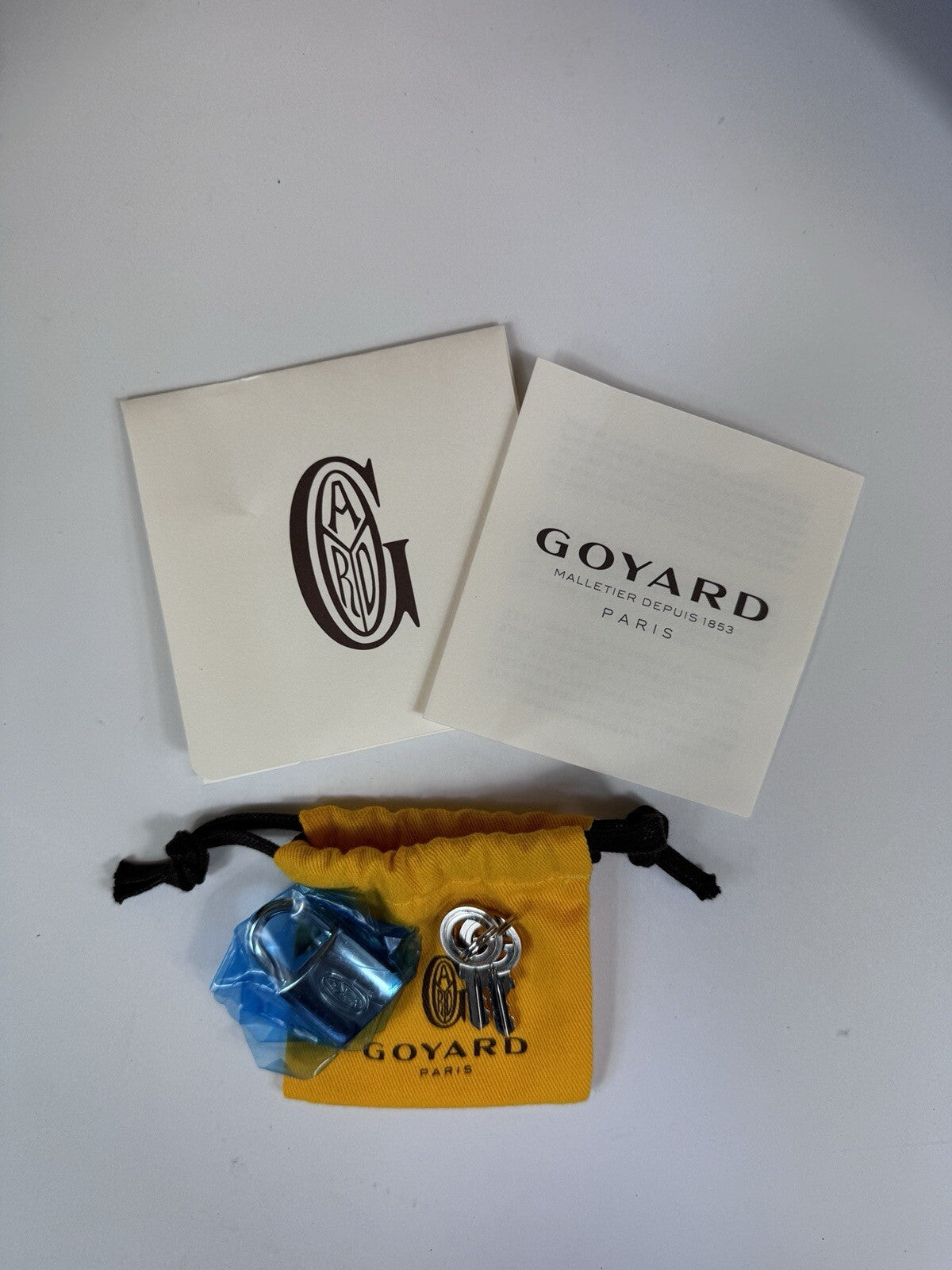 Goyard Bourget PM Cabin Trolley Suitcase, photo 9