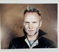 Sting Autograph Signed Photo Print, photo 1