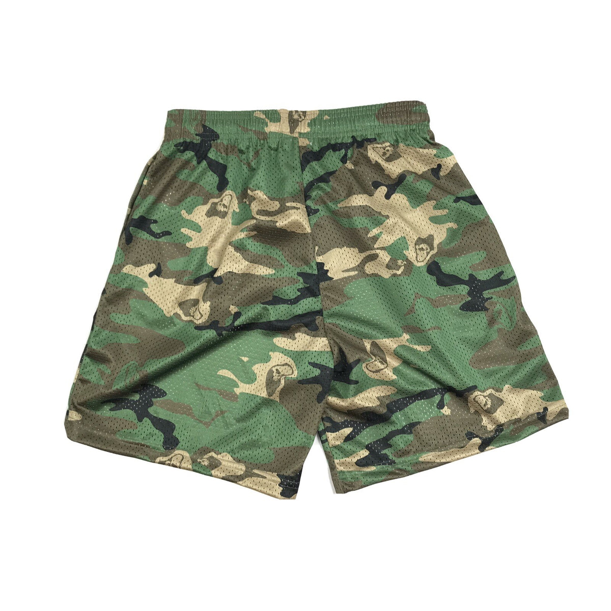 Warren Lotas World Camouflage Mesh Shorts, photo 2