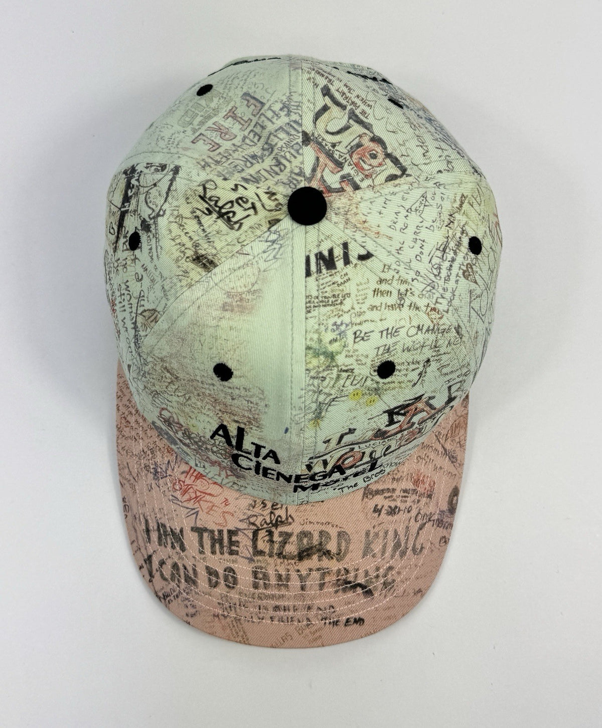 Paly Hollywood Alta Cienega Low Profile Cap, photo 6