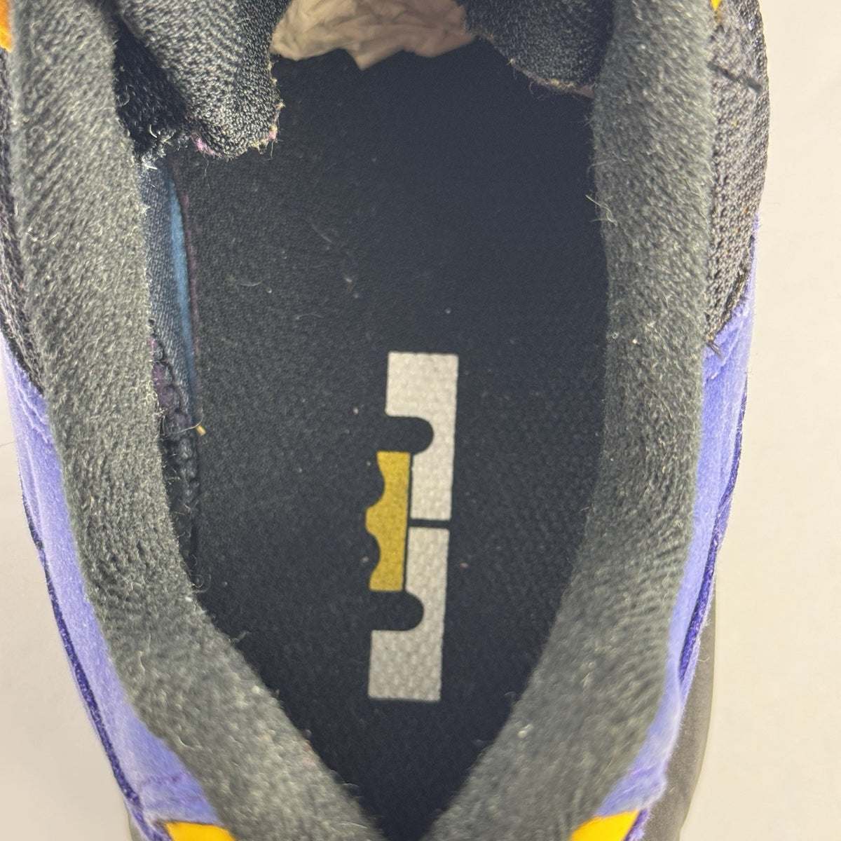 Nike Air Max 95 LeBron Lakers Sneakers, photo 9
