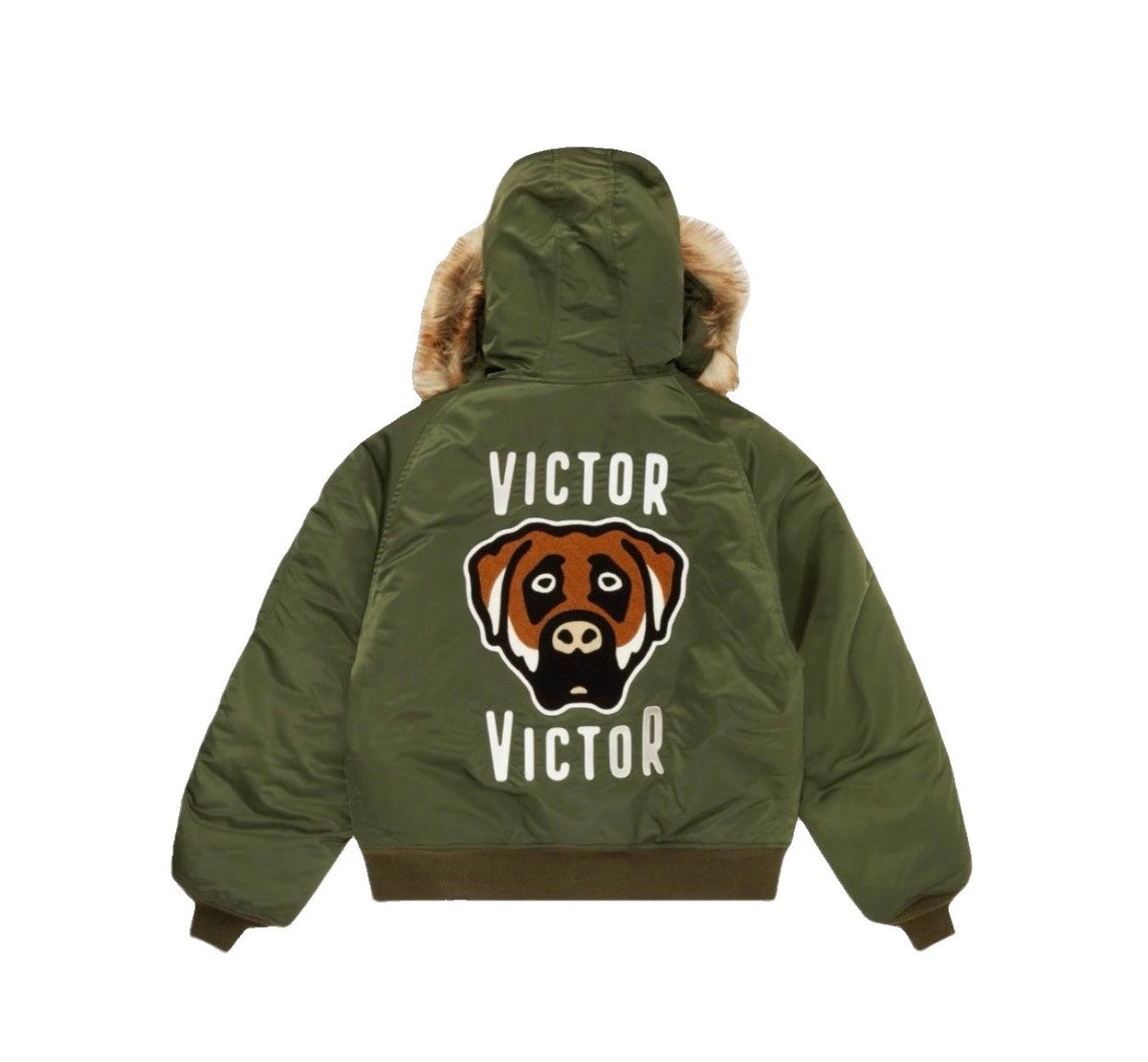 Victor N2 Flights Jacket, photo 1