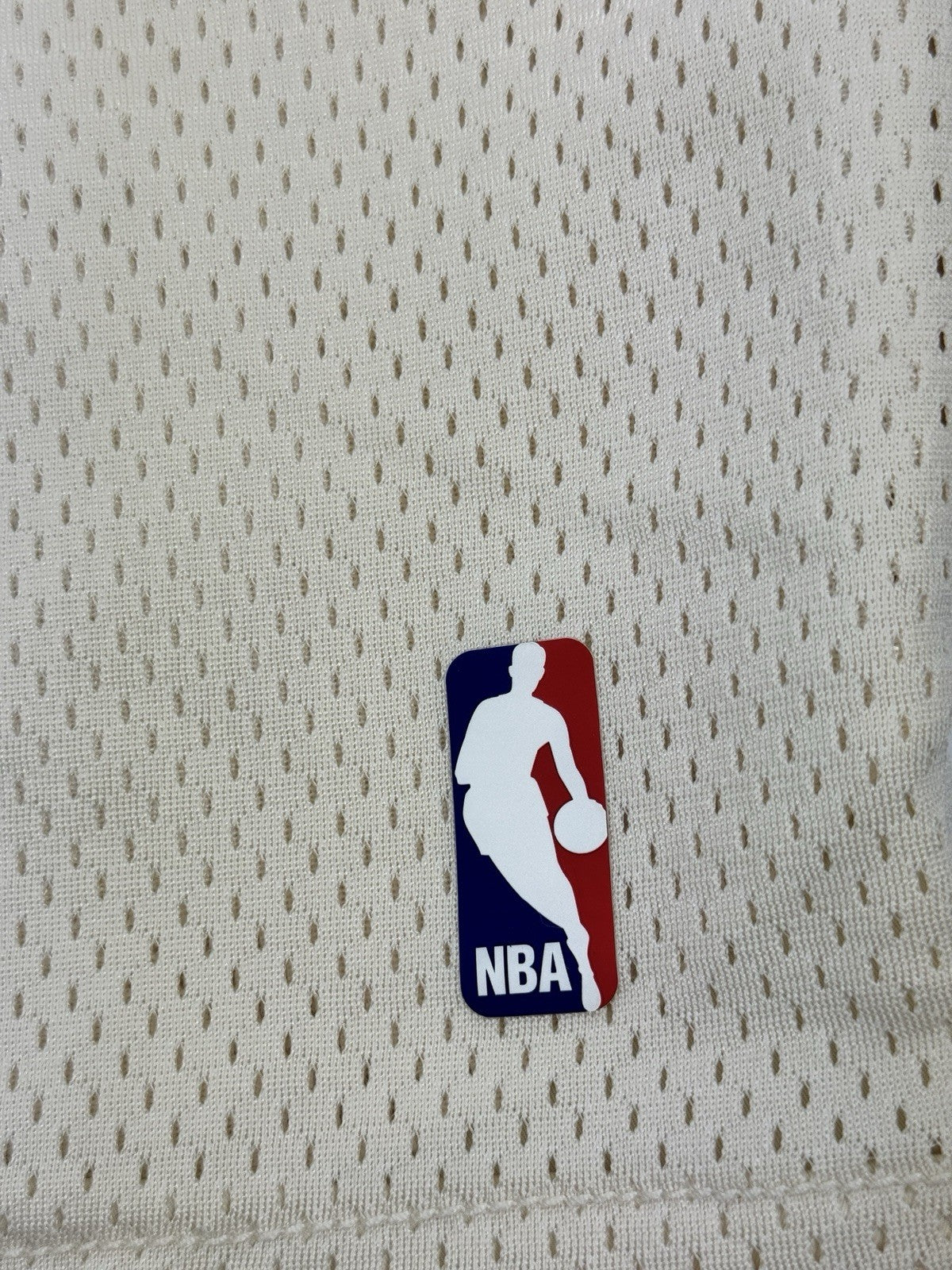 Fear of God x NBA x Nike Logo Basketball Mesh Shorts, photo 3