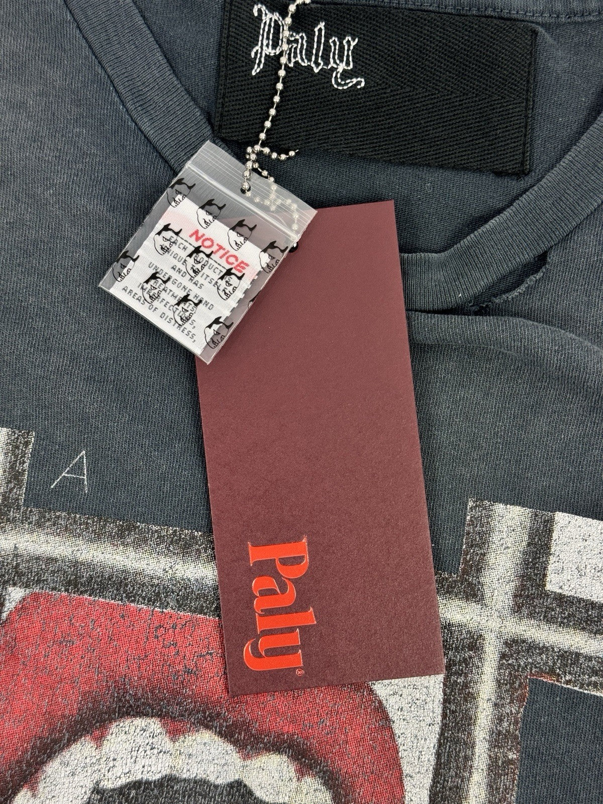 Paly Hollywood Rolling Stones Mosquito T-Shirt, photo 6