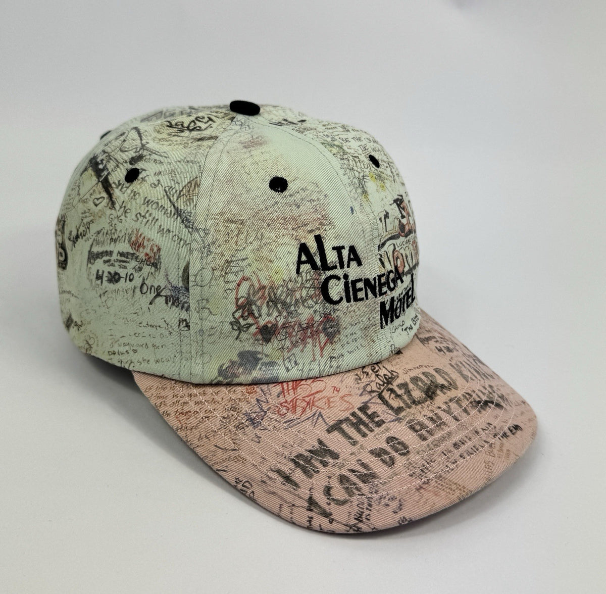 Paly Hollywood Alta Cienega Low Profile Cap, photo 5
