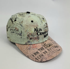 Paly Hollywood Alta Cienega Low Profile Cap، الصورة 5