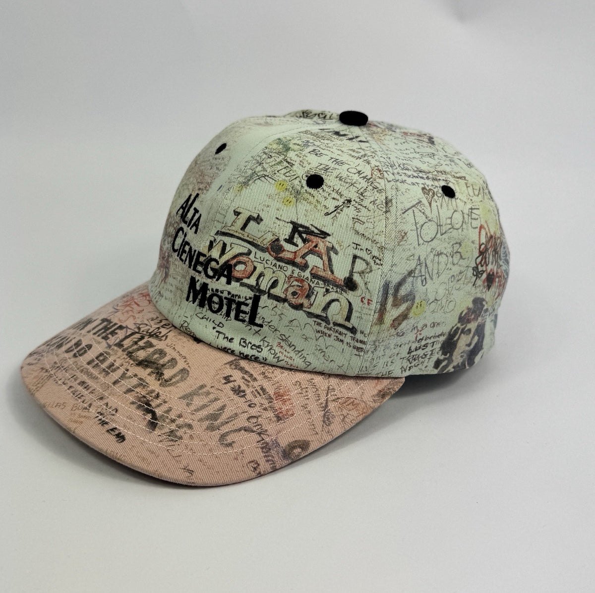 Paly Hollywood Alta Cienega Low Profile Cap, photo 7