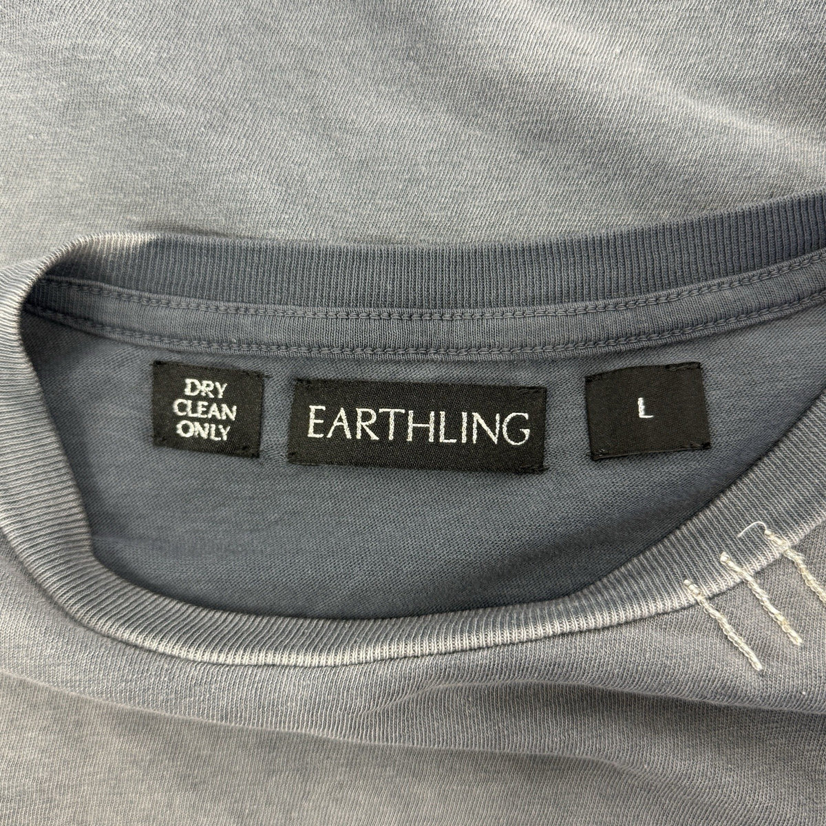 Earthling Born To Ride Oversized T-Shirt, photo 10