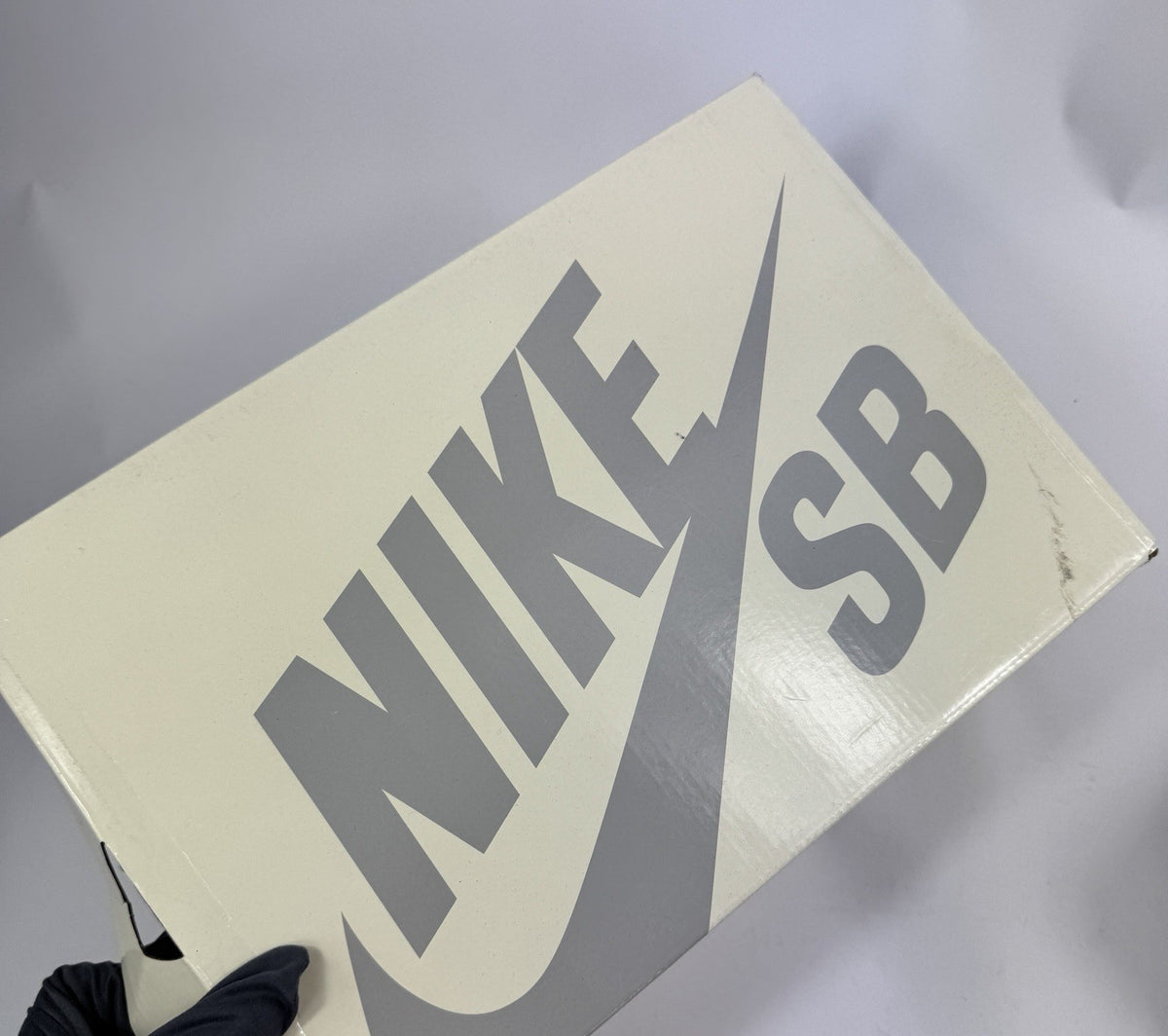 Nike SB Dunk x Supreme Rammellzee Sneakers, photo 14