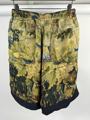 Dries Van Noten Parrot Print Satin Shorts، الصورة 4