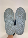 Dior x ERL 1 Of 470 Limited B9S Skater Kumo Cannage Satin Sneakers, photo 10