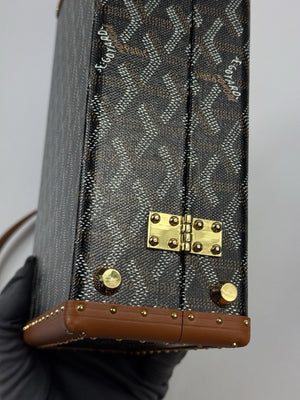 Goyard Grand Hotel Trunk Bag（写真11）