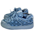Dior x ERL 1 Of 470 Limited B9S Skater Kumo Cannage Satin Sneakers, photo 2