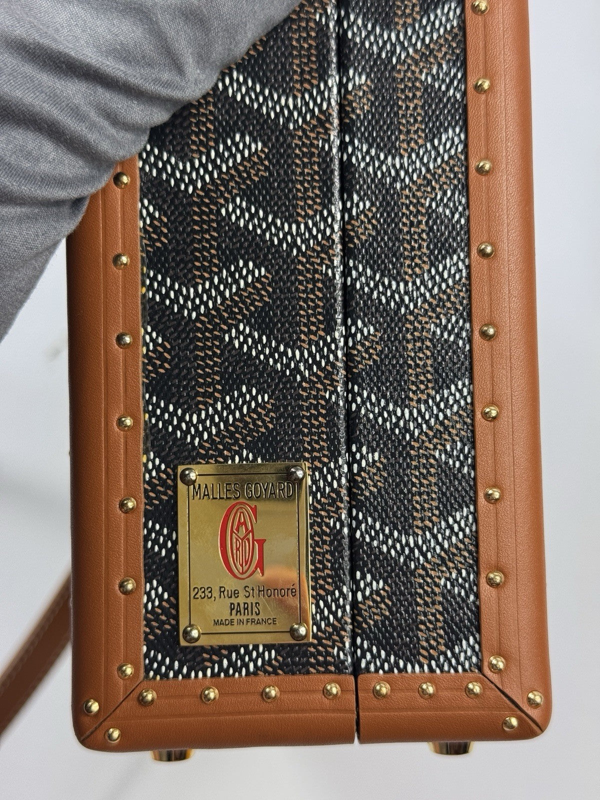 Goyard Grand Hotel Trunk Bag, photo 7