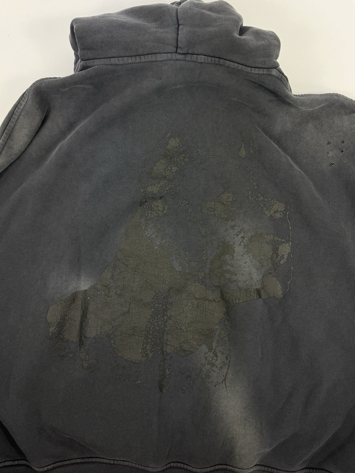 Enfants Riches Deprimes Pit Bull Print Distressed Hoodie, photo 7